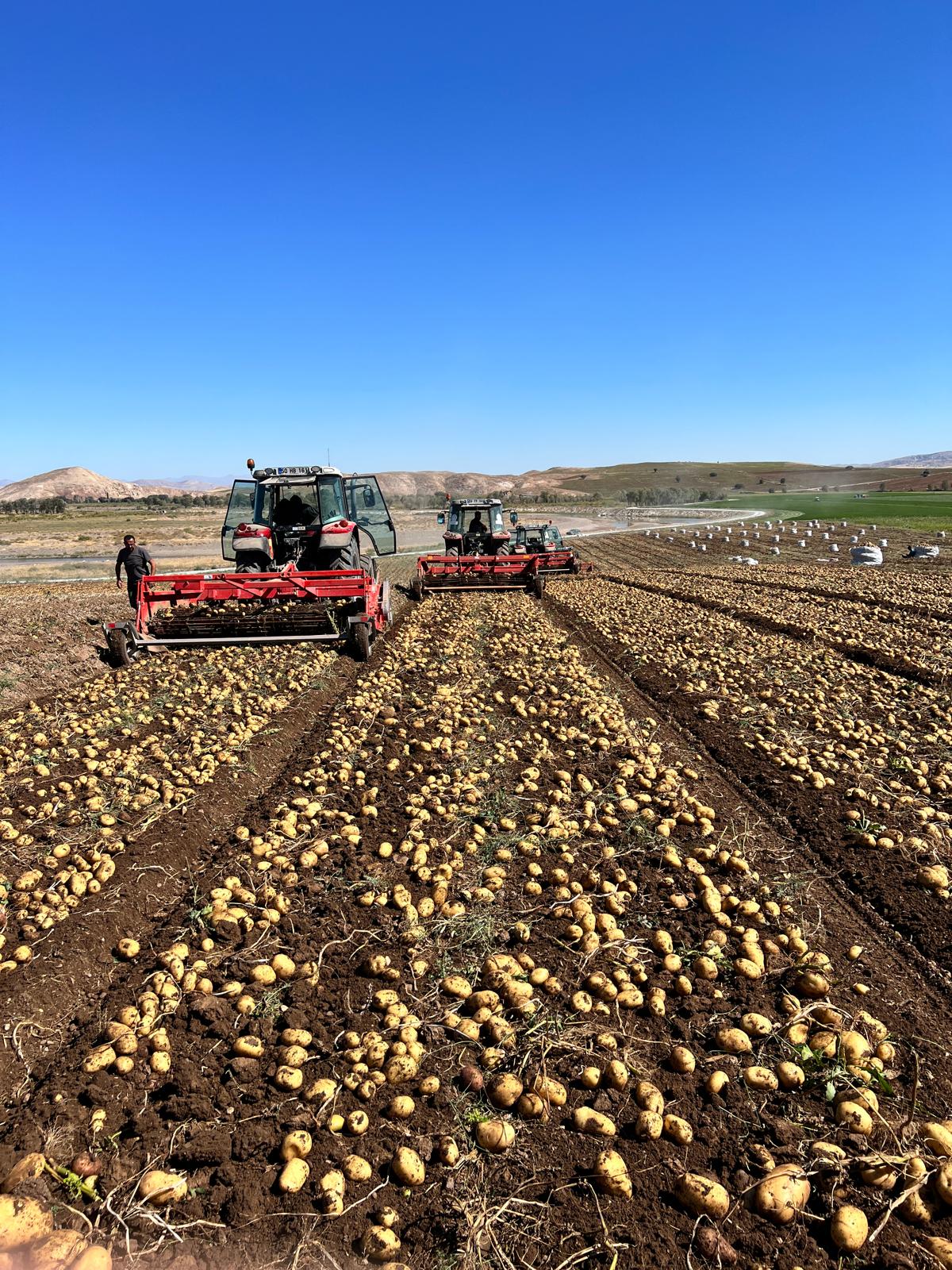 2025 Kayseri Hasatı